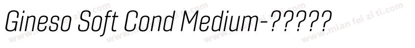 Gineso Soft Cond Medium字体转换